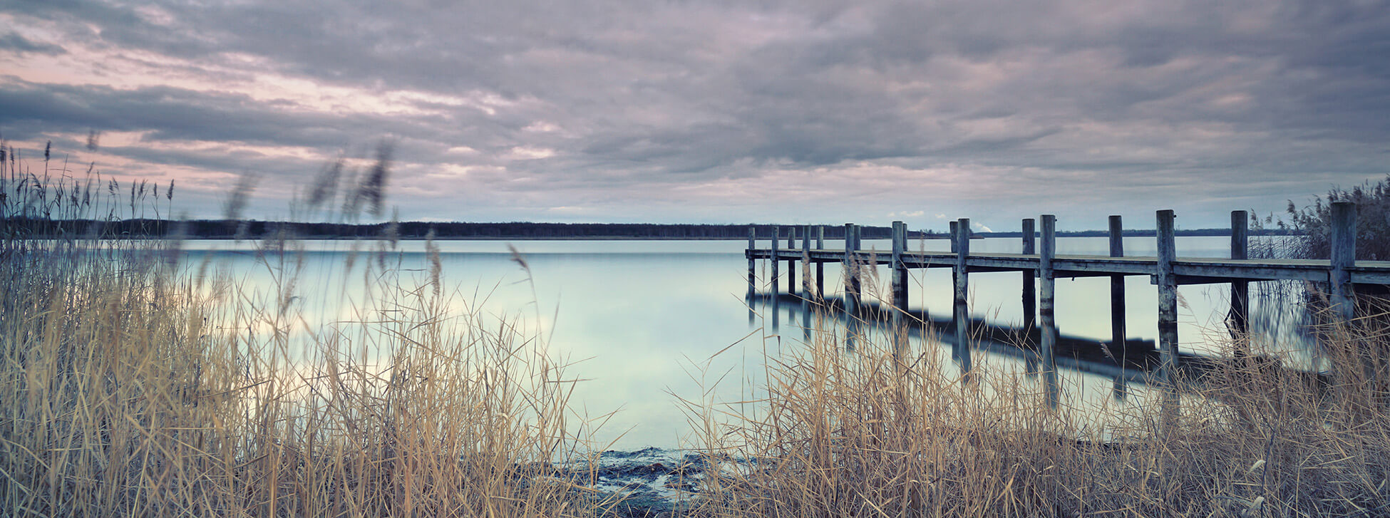 Systemische Beratung und Therapie für Erwachsene